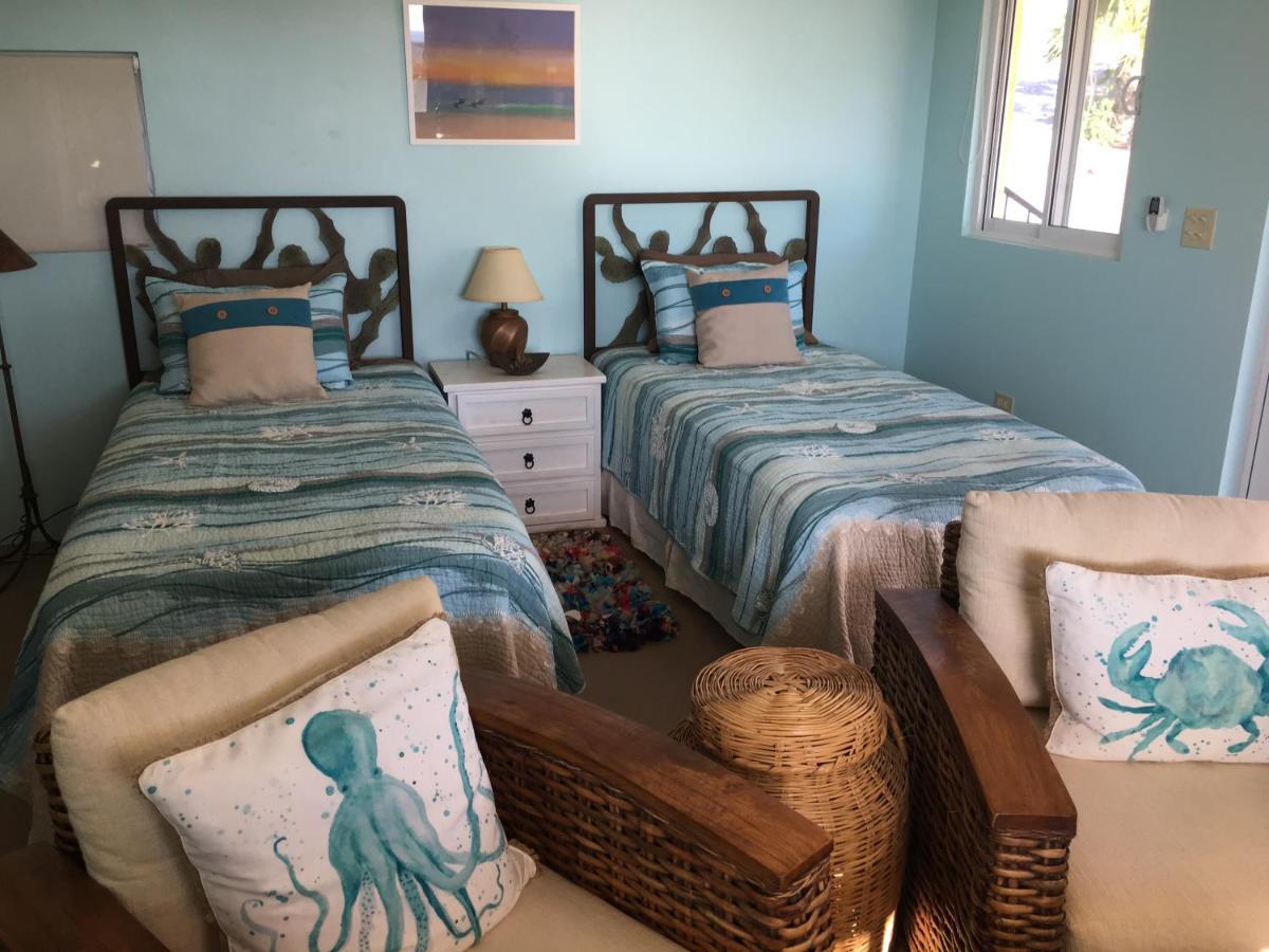 Casa Flores Casitas Todos Santos Bagian luar foto